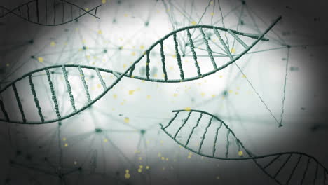 Animation-Eines-DNA-Strangs-über-Einem-Netzwerk-Von-Verbindungen-Auf-Weißem-Hintergrund