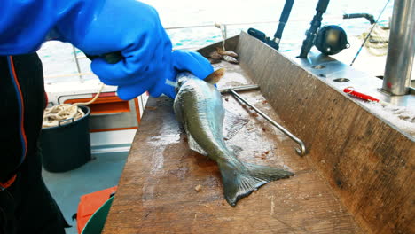 Fisherman-filleting-fish