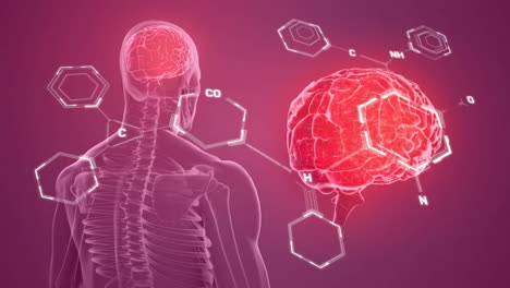 Animation-of-chemical-formula-over-digital-human-and-brain