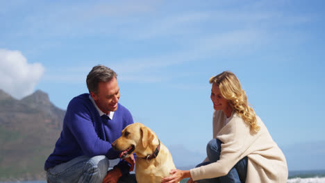 Happy-mature-couple-petting-their-dog-on-the-beach