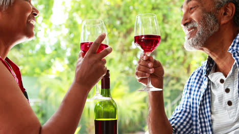Älteres-Paar-Stößt-Zu-Hause-Mit-Einem-Glas-Wein-An