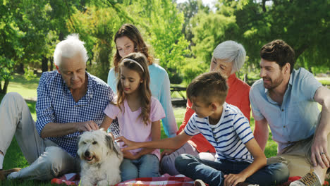 Multi-generation-family-playing-with-their-dog-in-the-park