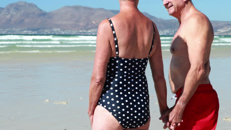 Senior-couple-standing-on-beach