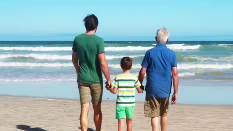 Family-holdings-hands-and-walking-towards-the-sea