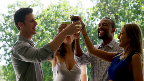 Group-of-friends-toasting-drink-glasses