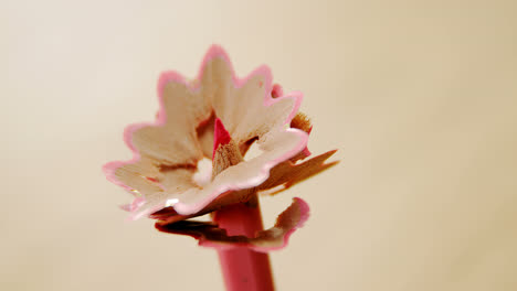 Close-up-of-pink-colored-pencil-with-shavings
