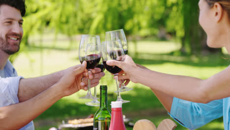 Couples-toasting-glasses-of-red-wine-in-the-park