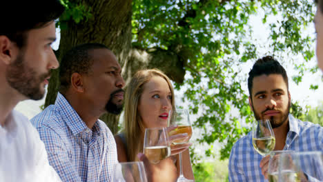 Group-of-friends-interacting-with-each-other-while-drinking-wine