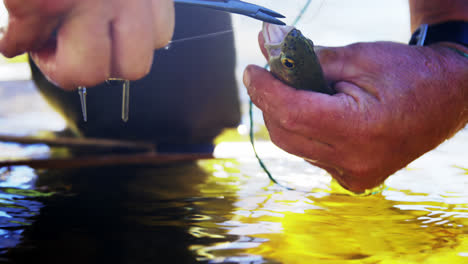 Fisherman-removing-hook-from-trout