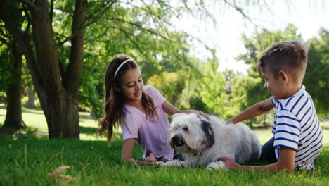 Siblings-playing-with-their-dog-in-the-park