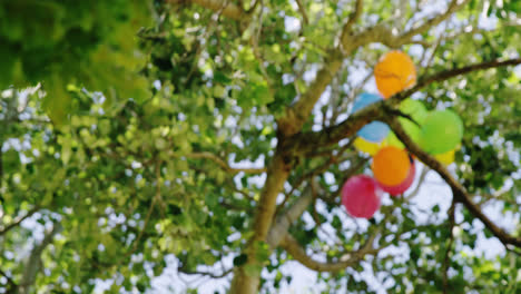 Luftballons-In-Einem-Baum
