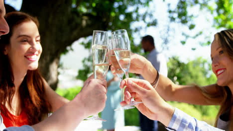 Group-of-friends-toasting-champagne-glasses-while-having-lunch