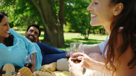 Couples-interacting-with-each-other-while-having-red-wine-in-the-park