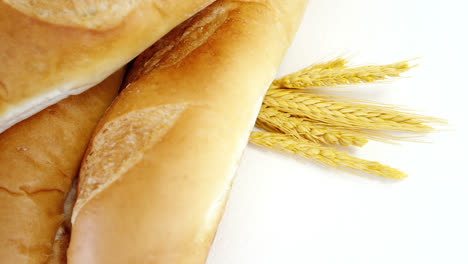 Baguettes-with-wheat-on-white-background