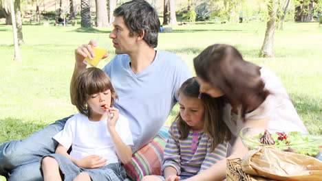 Family-having-a-picnic