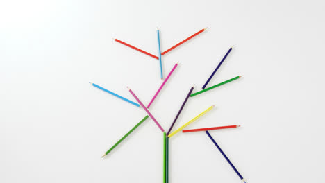 Colored-pencil-forming-a-tree