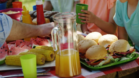 Familia-Multigeneracional-Almorzando-En-El-Parque