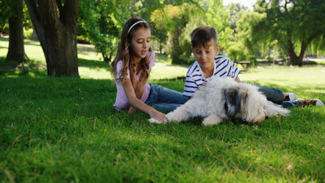 Siblings-playing-with-their-dog-in-the-park