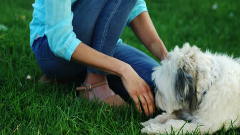 Woman-playing-with-her-dog-in-the-park