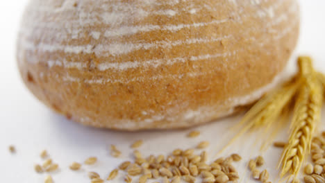 Bread-loaf-with-wheat-grain-on-white-background
