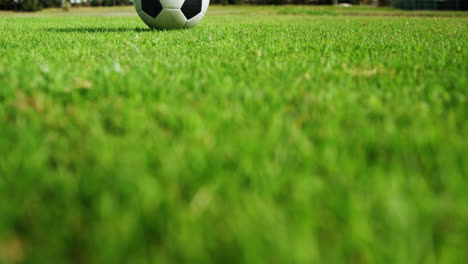 Balón-De-Fútbol-Sobre-La-Hierba-Verde