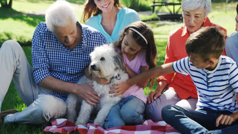 Mehrgenerationenfamilie,-Die-Mit-Ihrem-Hund-Im-Park-Spielt