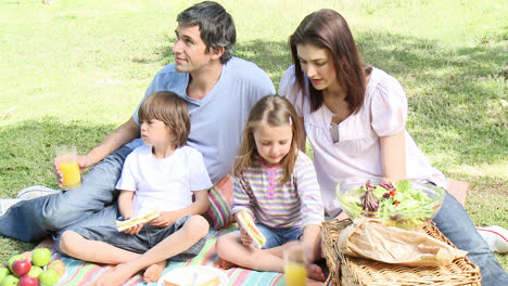 Glückliche-Familie-Mit-Einem-Picknick-In-Einem-Park