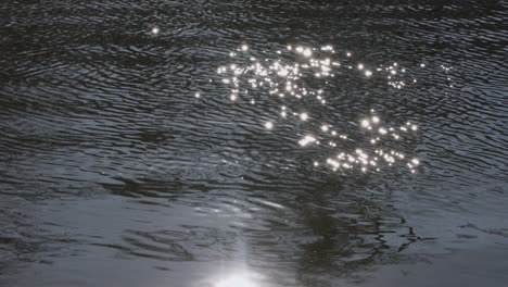 Lago-En-La-Naturaleza