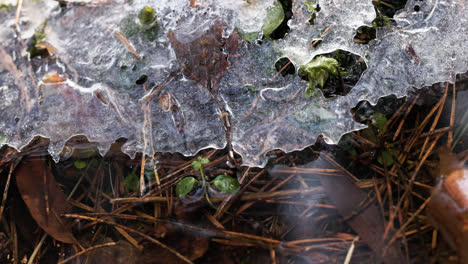 Ice-block-and-sticks-in-river