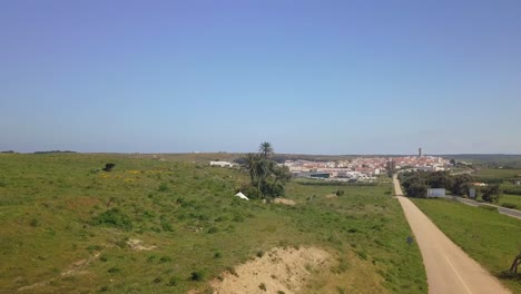 aerial-of-countryside-in-portugal-with-green-fields-and-palmtrees-in-sagres,-portugal