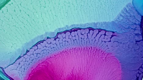 Vibrant-ink-patterns-diffusing-in-water,-resembling-a-microscopic-view