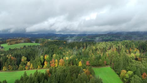 Farbige-Bäume-In-Der-Herbstlichen-Landschaft-Natur-Während-Nebligen-Morgen
