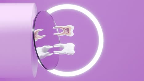 Diente-Molar-Girando-En-Sección-Transversal-Mostrando-Nervio-En-Estudio-De-Dentista-Animación-De-Representación-3d