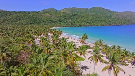Palm-Trees-On-Sandy-Beach-Of-Playa-Rincon-With-Mountain-Views-In-The-Dominican-Republic