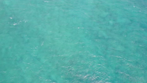 Drone-footage-of-the-crystal-clear-water-of-the-Pacific-ocean-near-Honolulu-Hawaii-tilting-up-to-reveal-the-island-of-Oahu-Hawaii-near-Diamond-Head