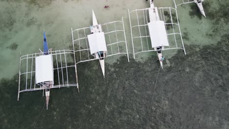 Aerial-drone-of-catamaran-boats-moored-along-a-tropical-beach
