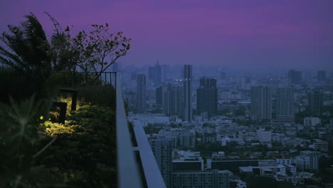Windiger-Garten-Auf-Einem-Dach-In-Bangkok-Vor-Rosa-Sonnenuntergangshimmel