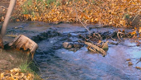 Small-Babbling-Stream-in-Nevada-wetlands