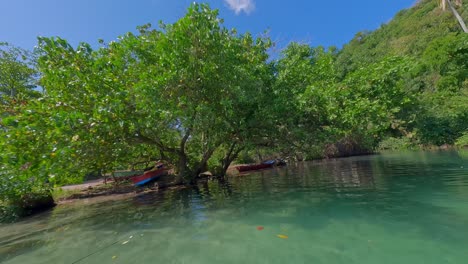 FPV-drone-flight-through-tropical-mangrove-forest-over-boats-and-under-trees