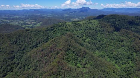 Green-Rainforest-In-Currumbin-Valley-In-Gold-Coast,-Queensland,-Australia---Aerial-Orbit