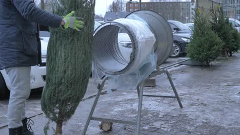 Cerca-Del-árbol-De-Navidad-Vendido-En-El-Estacionamiento,-El-Trabajador-Lo-Prepara-Para-El-Comprador.