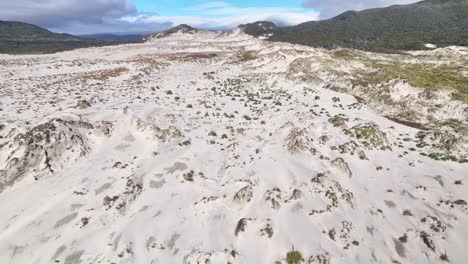 Drone-flyover-sand-dune-and-native-forest,-wildlife-of-Stewart-Island,-New-Zealand