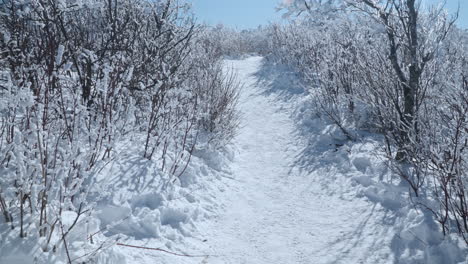 Hiker's-POV-Walking-in-Snowcapped-Mona-Park-Along-Balwangsan-Mountain-Summit-Trail-on-Sunny-Day-in-Winter