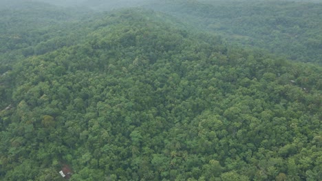Luftaufnahme-Eines-Tropischen-Mischwaldes
