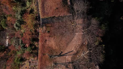 Ancient-Japanese-Ruins-Seen-from-Above-Aerial-Drone-Asago-Hyogo-Forest-Landscape