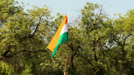 Indische-Dreifarbige-Nationalflagge-In-Der-Hand-Mit-Waldhintergrund-Am-Tag