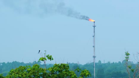 Brennendes-Gas-Aus-Einem-Großen-Schornstein-Einer-Erdölraffinerie,-Konzept-Der-Luftverschmutzung