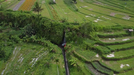 Landscaping-irrigation-canal-system-through-step-farming-fields,-Bali