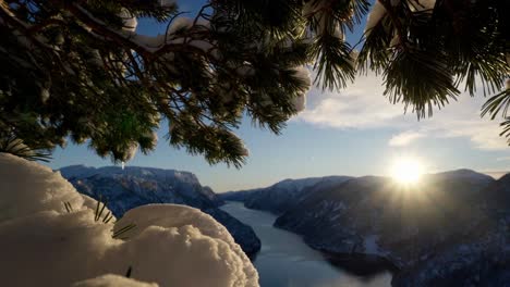 Beautiful-winter-sunset-over-Norway-fjord-mountain-range-through-snowy-fir-tree
