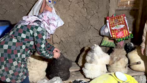 Almacenamiento-De-Piel-De-Oveja-Empacada-Requesón-Fresco-En-El-Bosque-Montaña-Rural-Campo-Gente-Local-Proceso-De-Vida-De-Hacer-Delicioso-Queso-Leche-Fresca-En-La-Ciudad-Método-Tradicional-Cultura-Persa-De-Irán